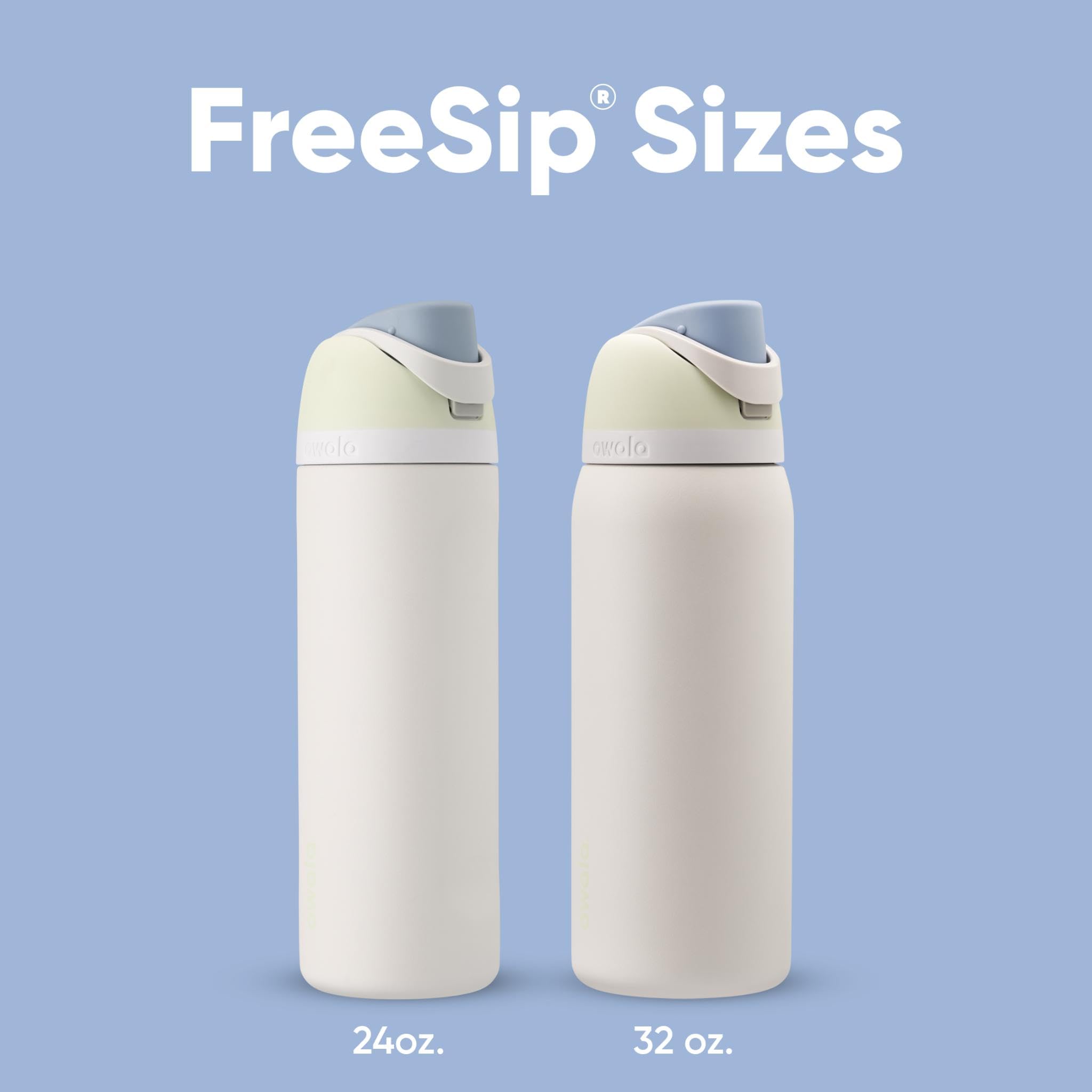 Owala FreeSip Water Bottle