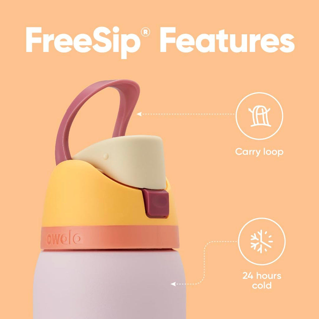 Owala FreeSip Water Bottle