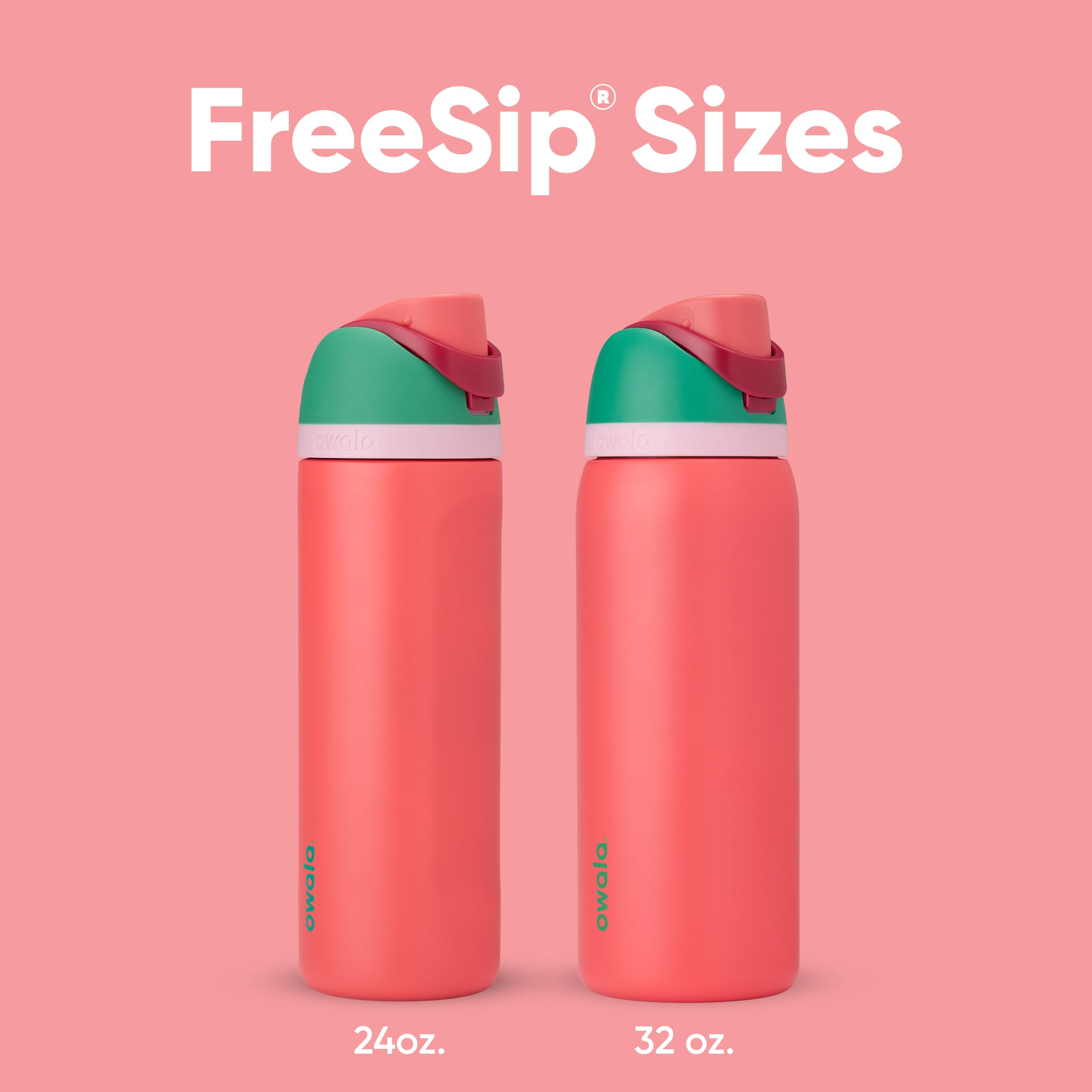 Owala FreeSip Water Bottle