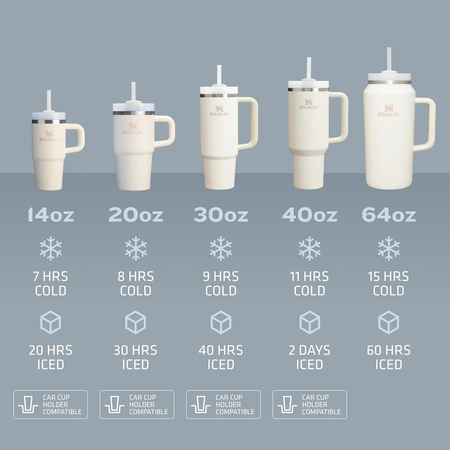 Stanley Quencher Water Bottle
