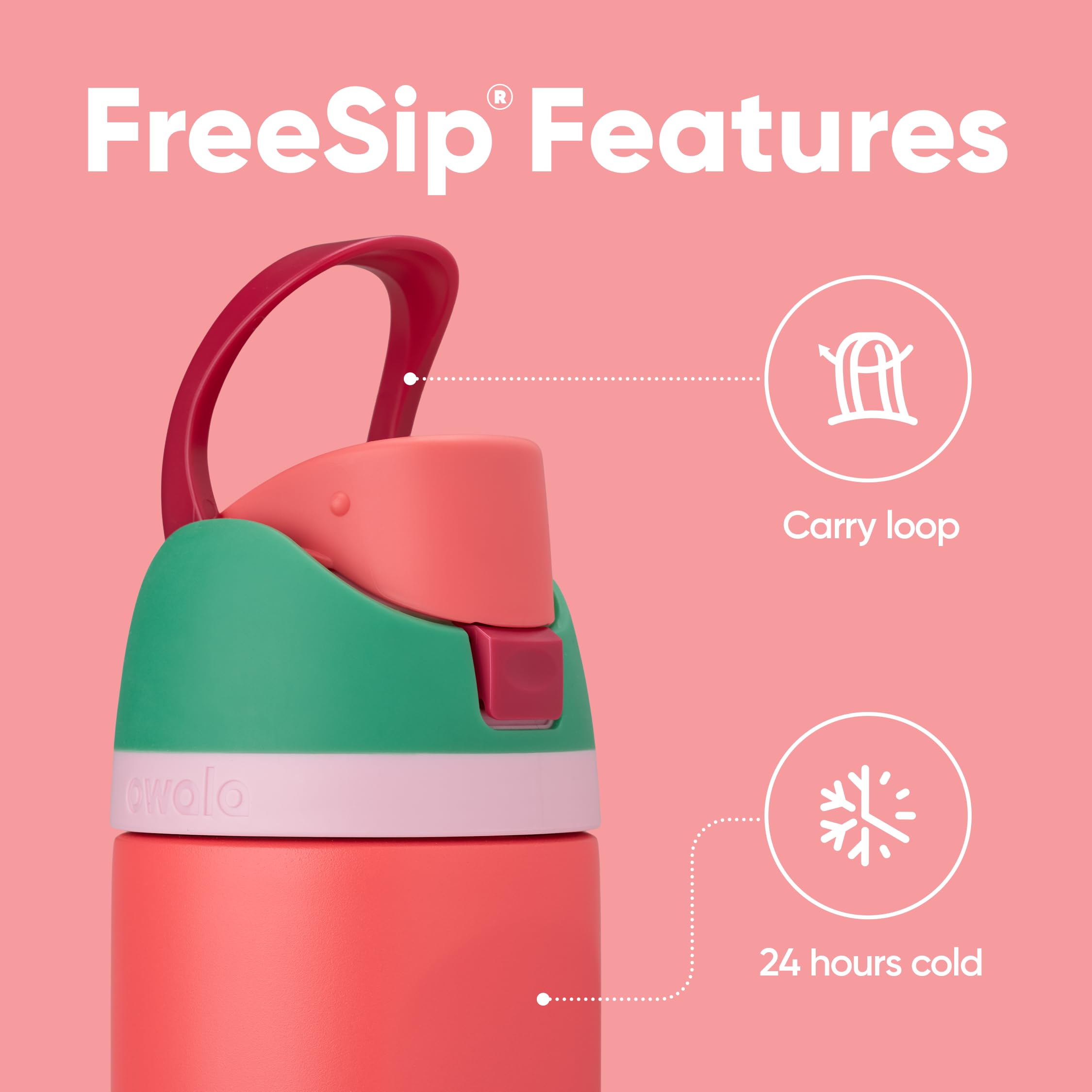 Owala FreeSip Water Bottle