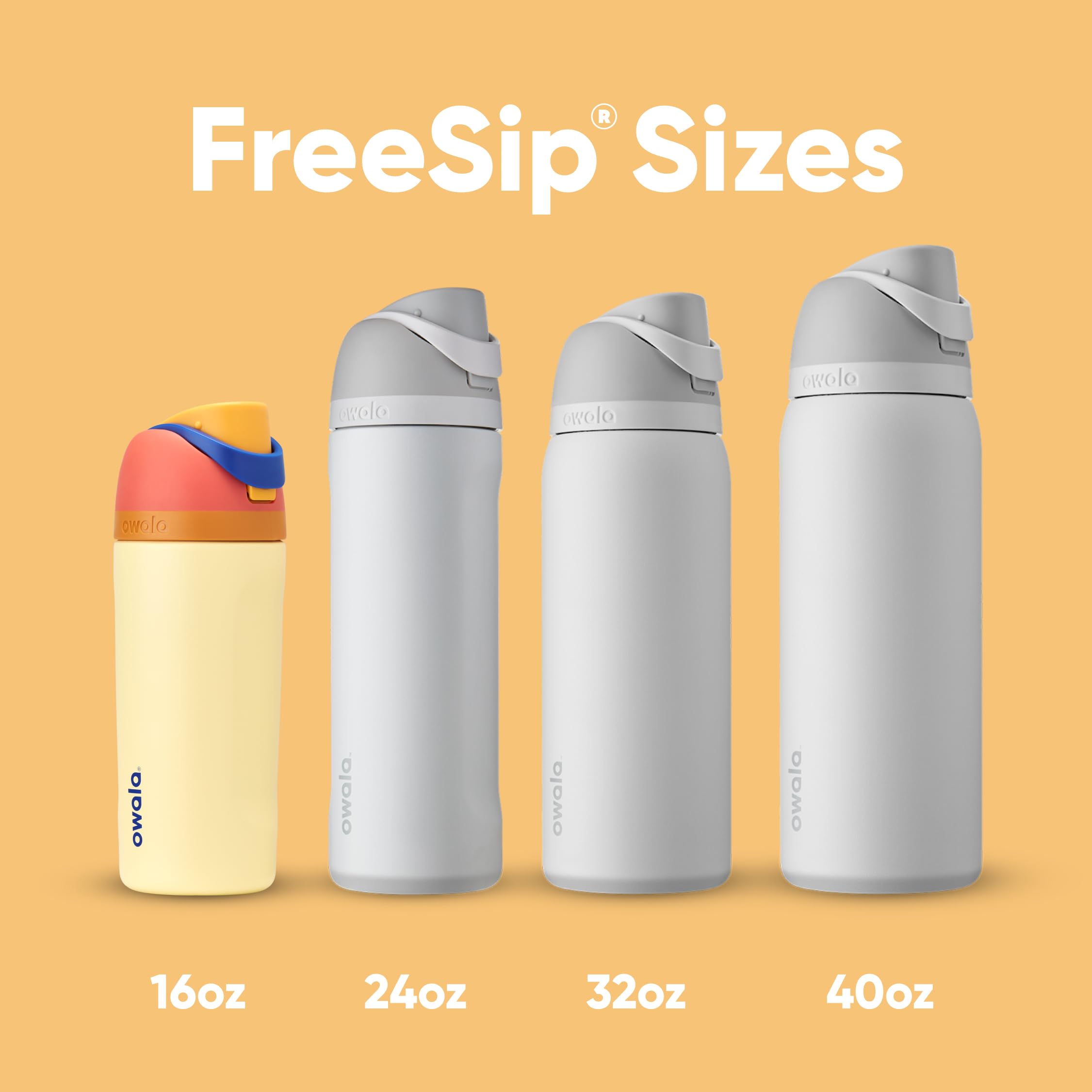 Owala FreeSip Water Bottle