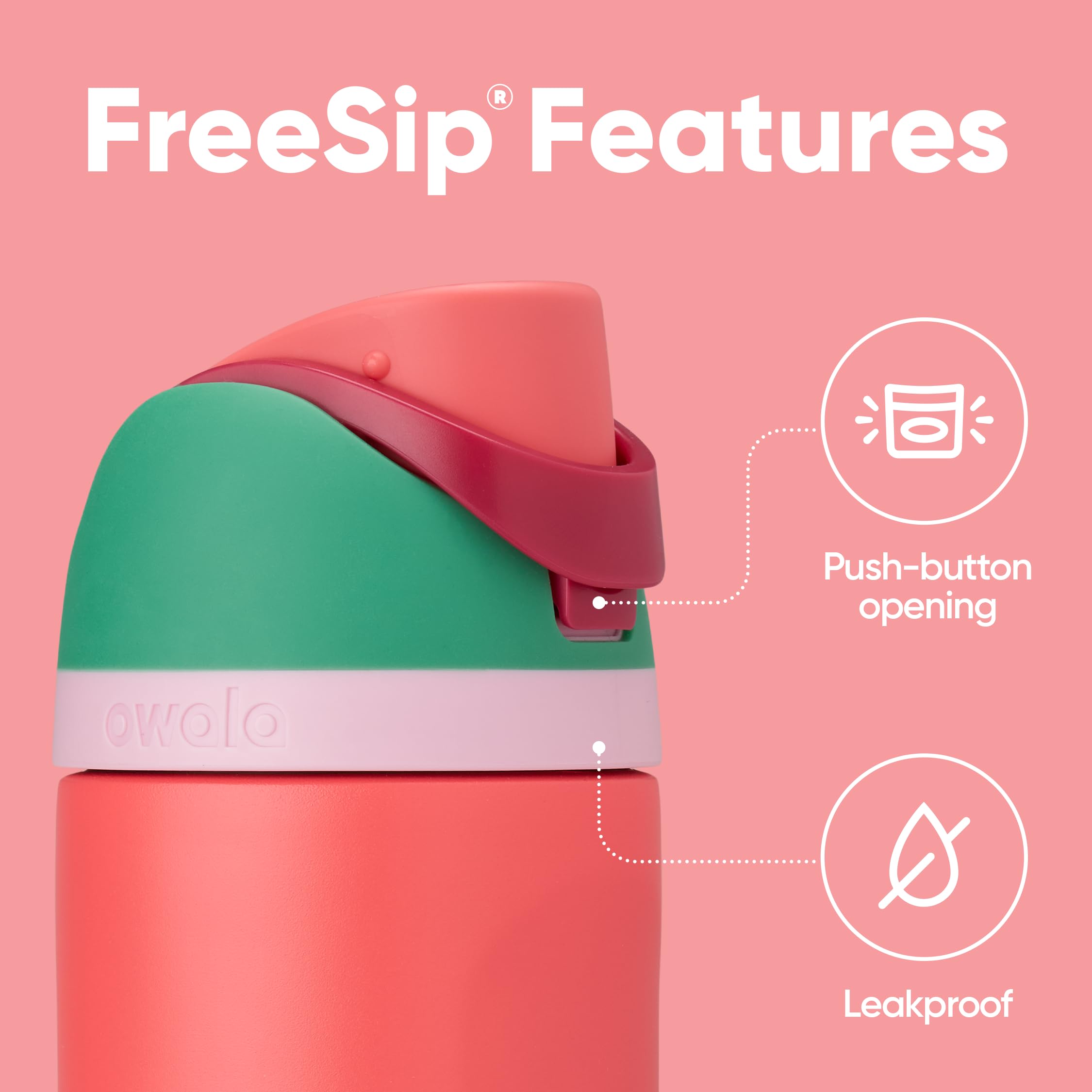 Owala FreeSip Water Bottle