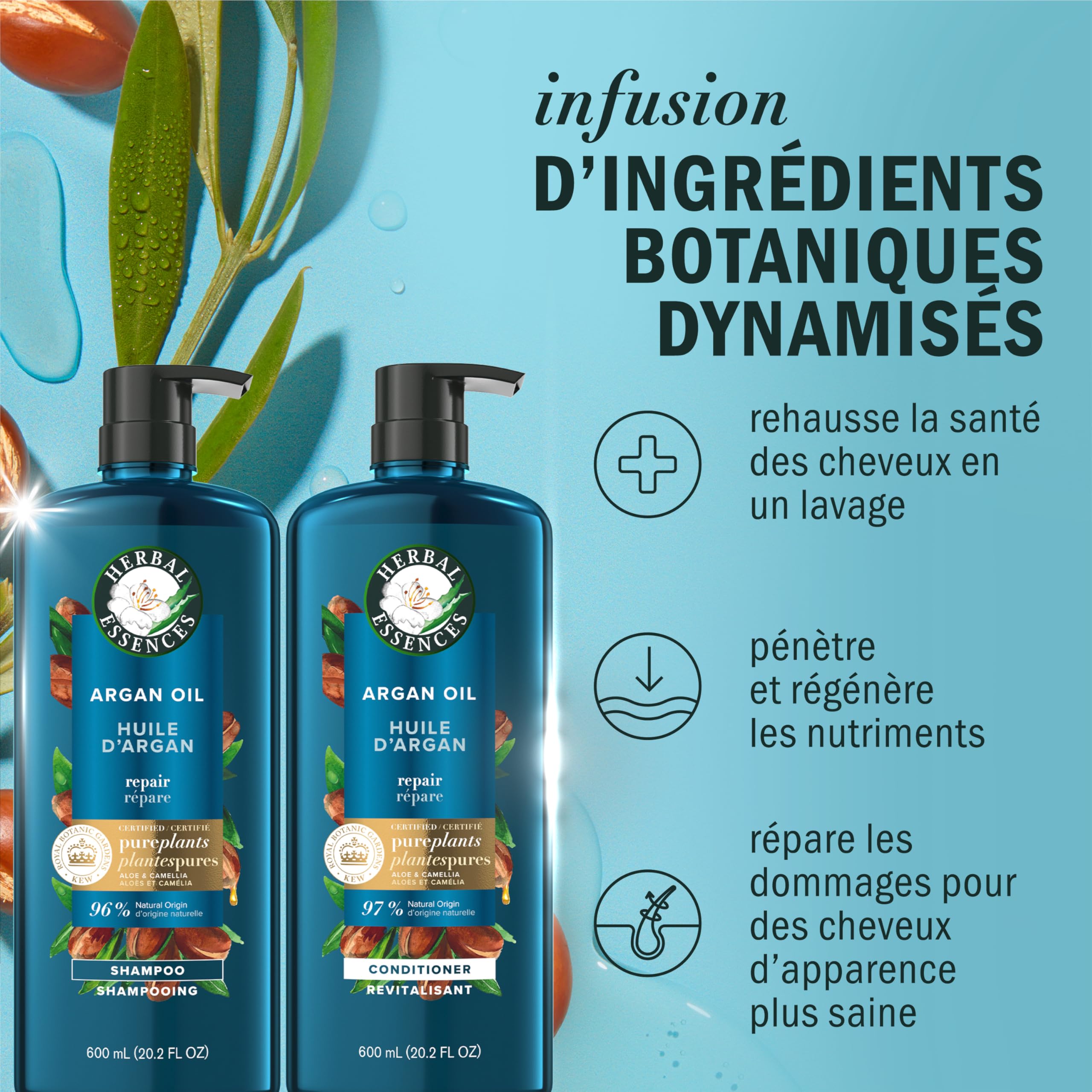 Herbal Essences Argan Oil Shampoo and Conditioner Set