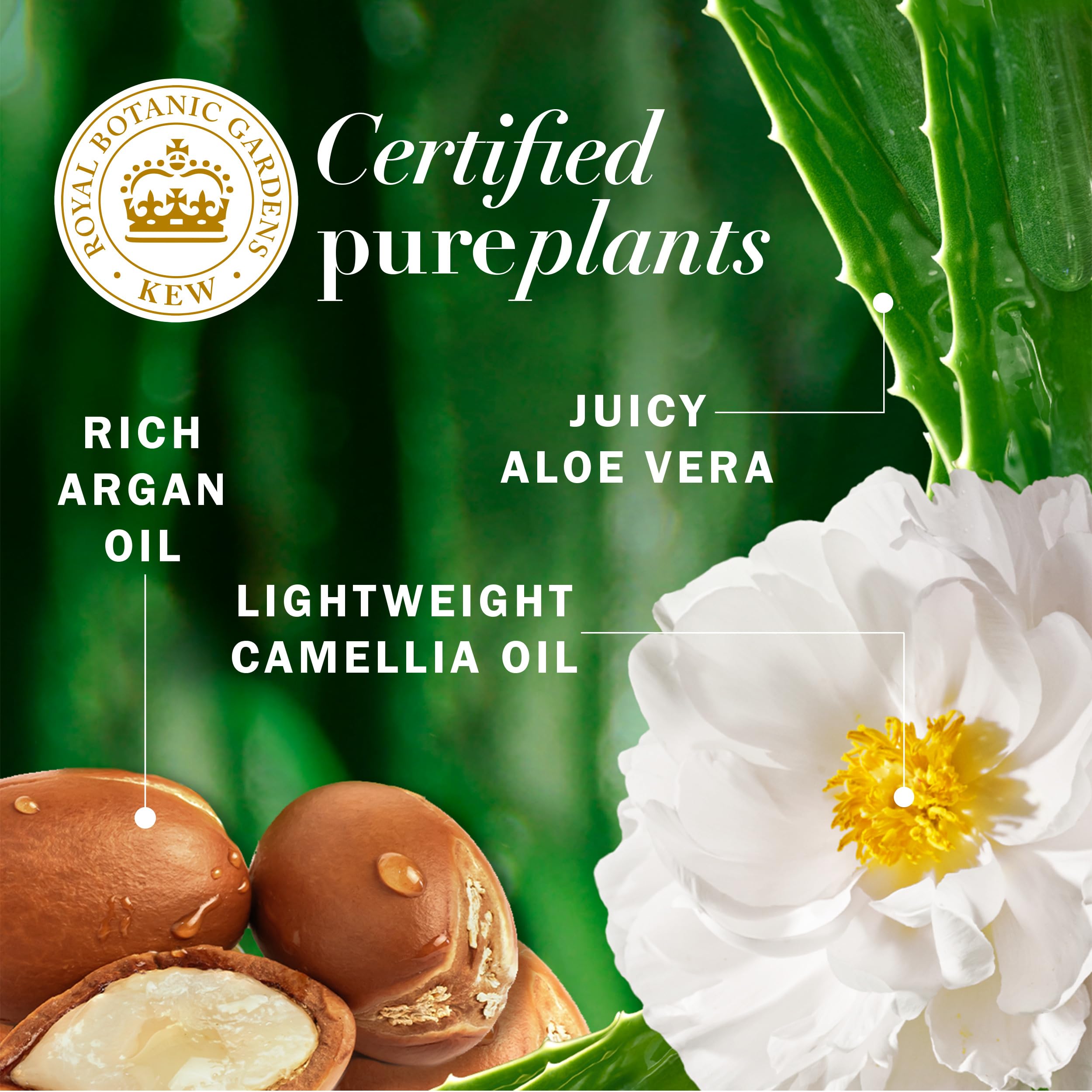 Herbal Essences Argan Oil Shampoo and Conditioner Set
