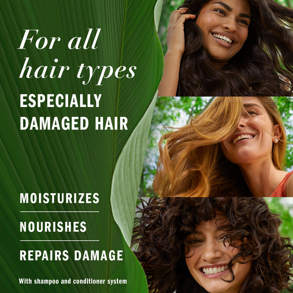 Herbal Essences Argan Oil Shampoo and Conditioner Set