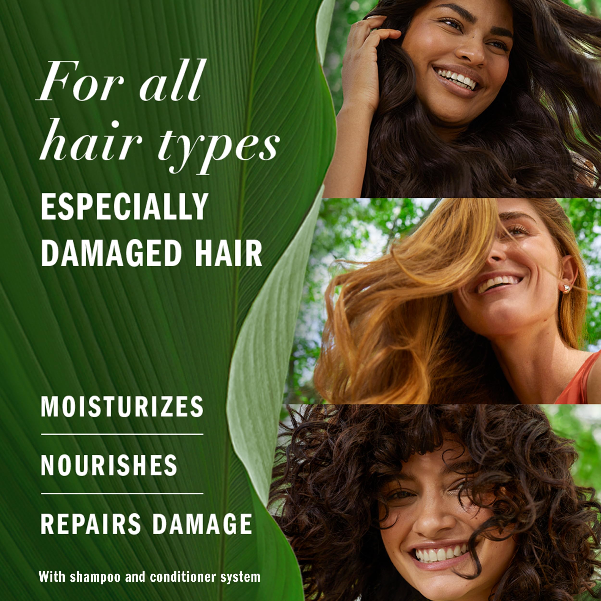 Herbal Essences Argan Oil Shampoo and Conditioner Set
